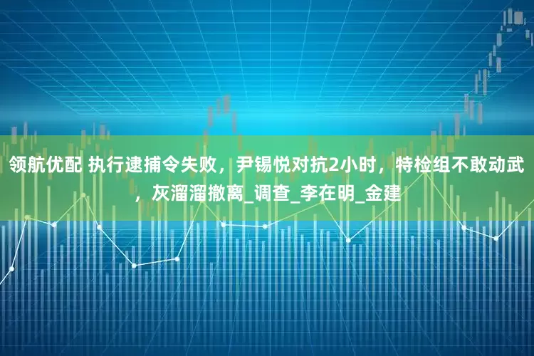 领航优配 执行逮捕令失败，尹锡悦对抗2小时，特检组不敢动武，灰溜溜撤离_调查_李在明_金建