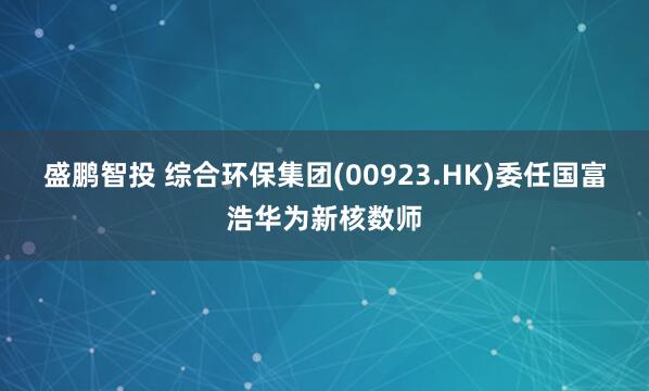 盛鹏智投 综合环保集团(00923.HK)委任国富浩华为新核数师