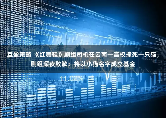 互盈策略 《红舞鞋》剧组司机在云南一高校撞死一只猫，剧组深夜致歉：将以小猫名字成立基金